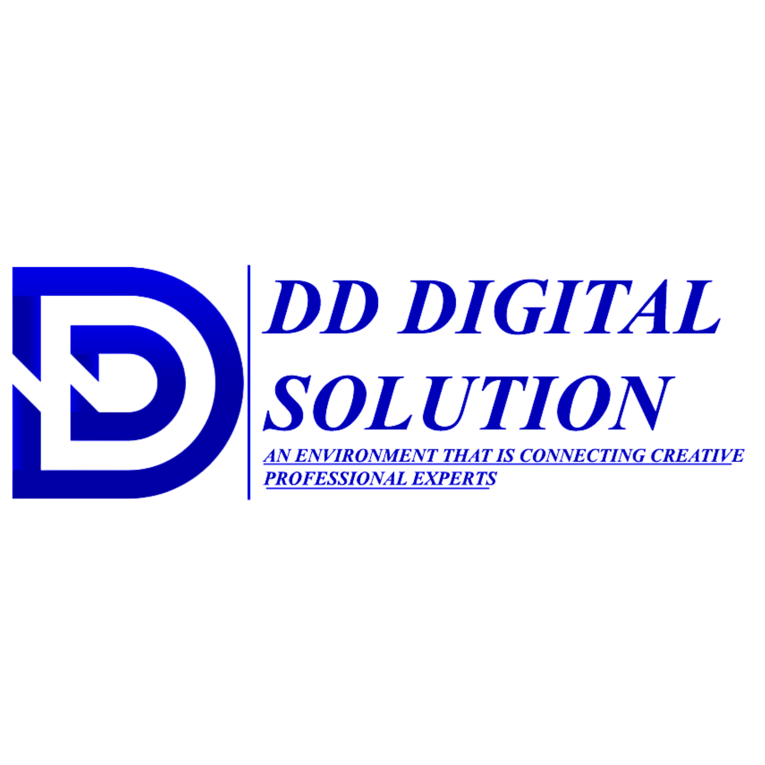 DD DIGITAL SOLUTION